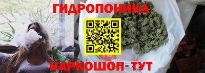 амф Камышлов