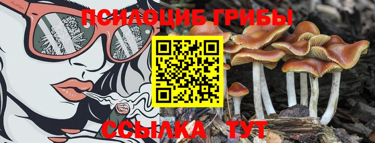 Галлюциногенные грибы GOLDEN TEACHER Кулебаки