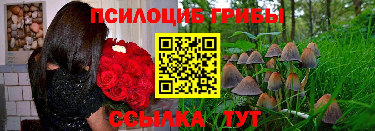 Галлюциногенные грибы Psilocybe  Вход с VPN  Галлюциногенные грибы Psilocybine cubensis  Кулебаки 